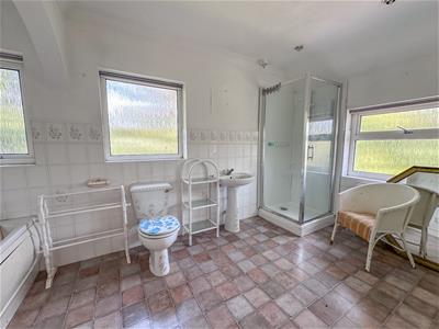Picture 21